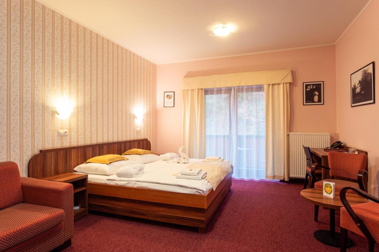 Hotel Studanka Rychnov nad Kneznou Zewnętrze zdjęcie